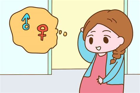 生男生女|生男孩生女孩？原来是它决定的